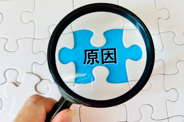 虫眼鏡で原因を探すパズル