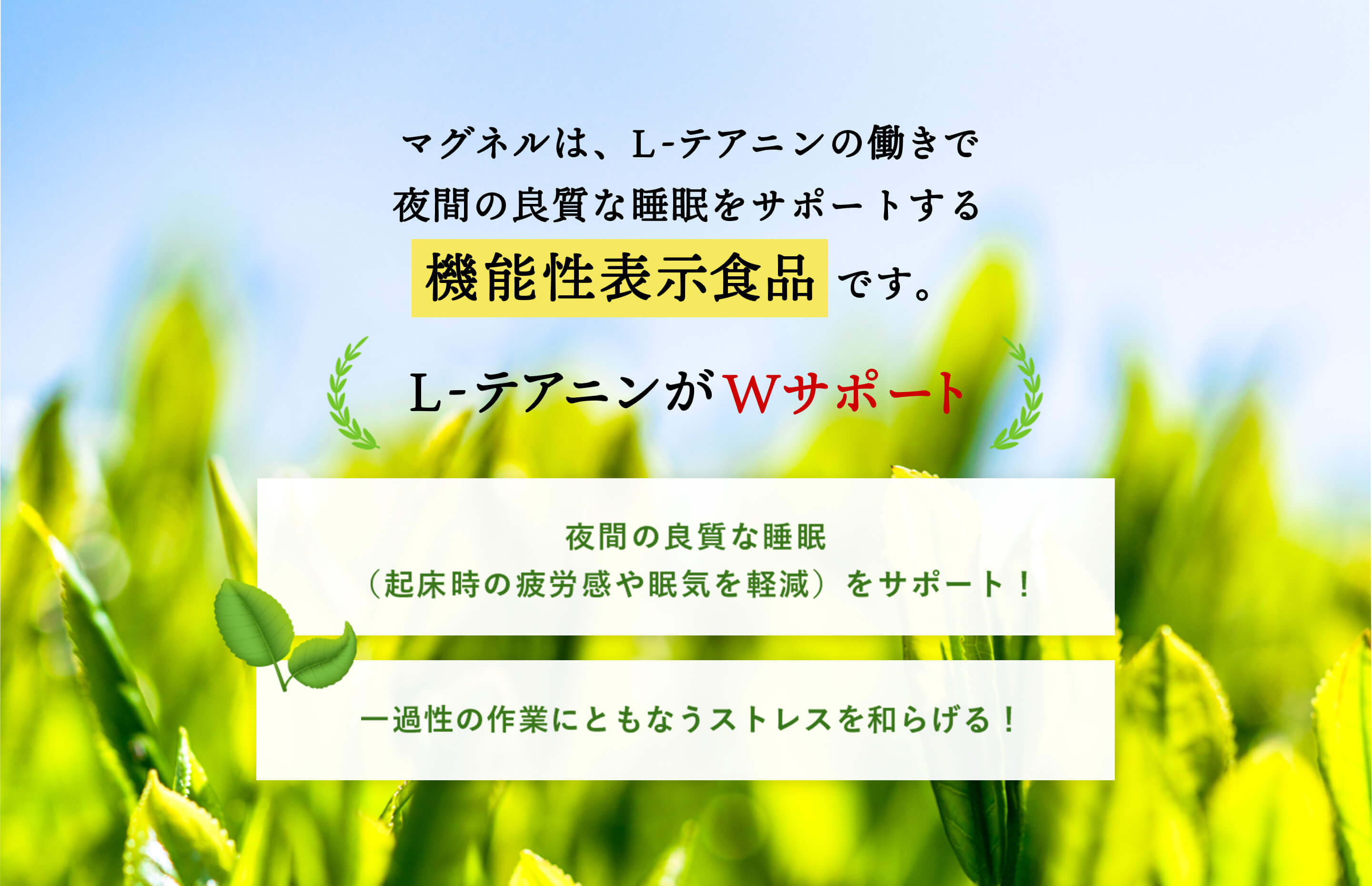 564円 最大57%OFFクーポン 夜間の良質な睡眠 起床時の疲労感や眠気の軽減 のサポート睡眠 サポート サプリ L- テアニン 200mg 機能性関与成分  グリシン 100mg サポート成分 医師監修 機能性表示食品 ネムリスタ 90粒 1ヶ月分