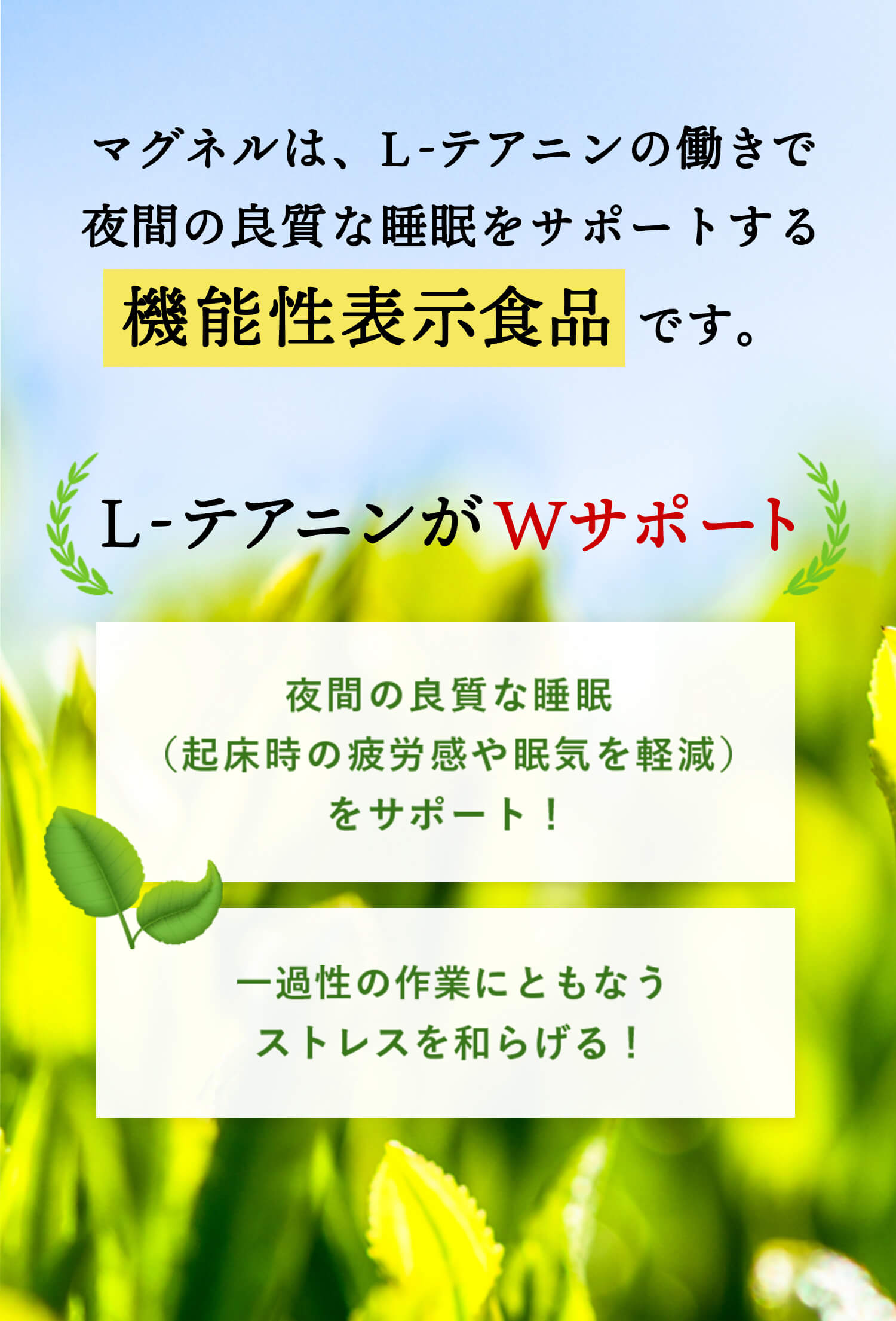 564円 最大57%OFFクーポン 夜間の良質な睡眠 起床時の疲労感や眠気の軽減 のサポート睡眠 サポート サプリ L- テアニン 200mg 機能性関与成分  グリシン 100mg サポート成分 医師監修 機能性表示食品 ネムリスタ 90粒 1ヶ月分